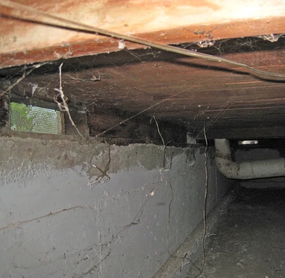 Crawlspace Mold Remediation in Hialeah, FL