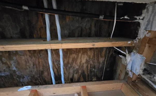Attic Mold Removal in Margate, FL