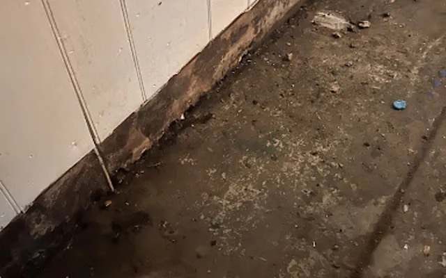 Biohazard Cleanup Services in Hialeah, FL